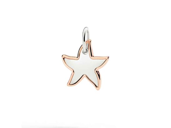 DoDo | XL star charm