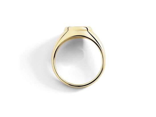 DoDo | Signet ring