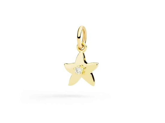 DoDo | Star charm