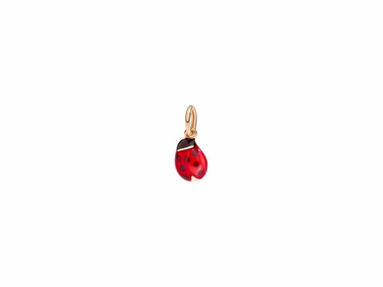 DoDo | Ladybird Charm