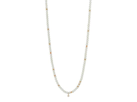 GELLNER | Delight