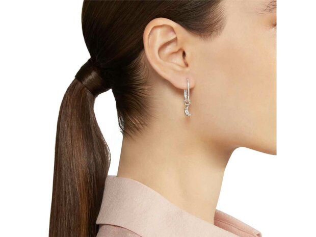 DoDo | Essential hoop earring