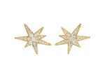 Ole Lynggaard | Funky Stars earstud - Small