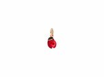 DoDo | Ladybird Charm