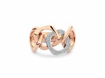 Bigli | Elements ring