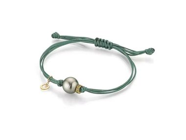 GELLNER | Young Basics