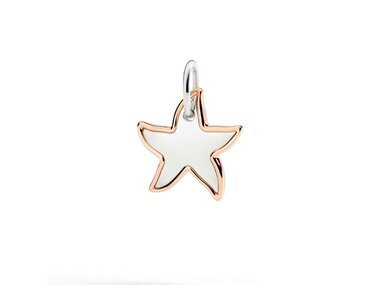 DoDo | XL star charm