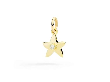 DoDo | Star charm