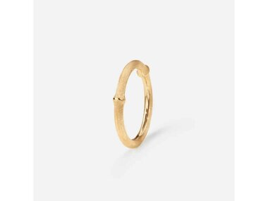 Ole Lynggaard | Nature N° II